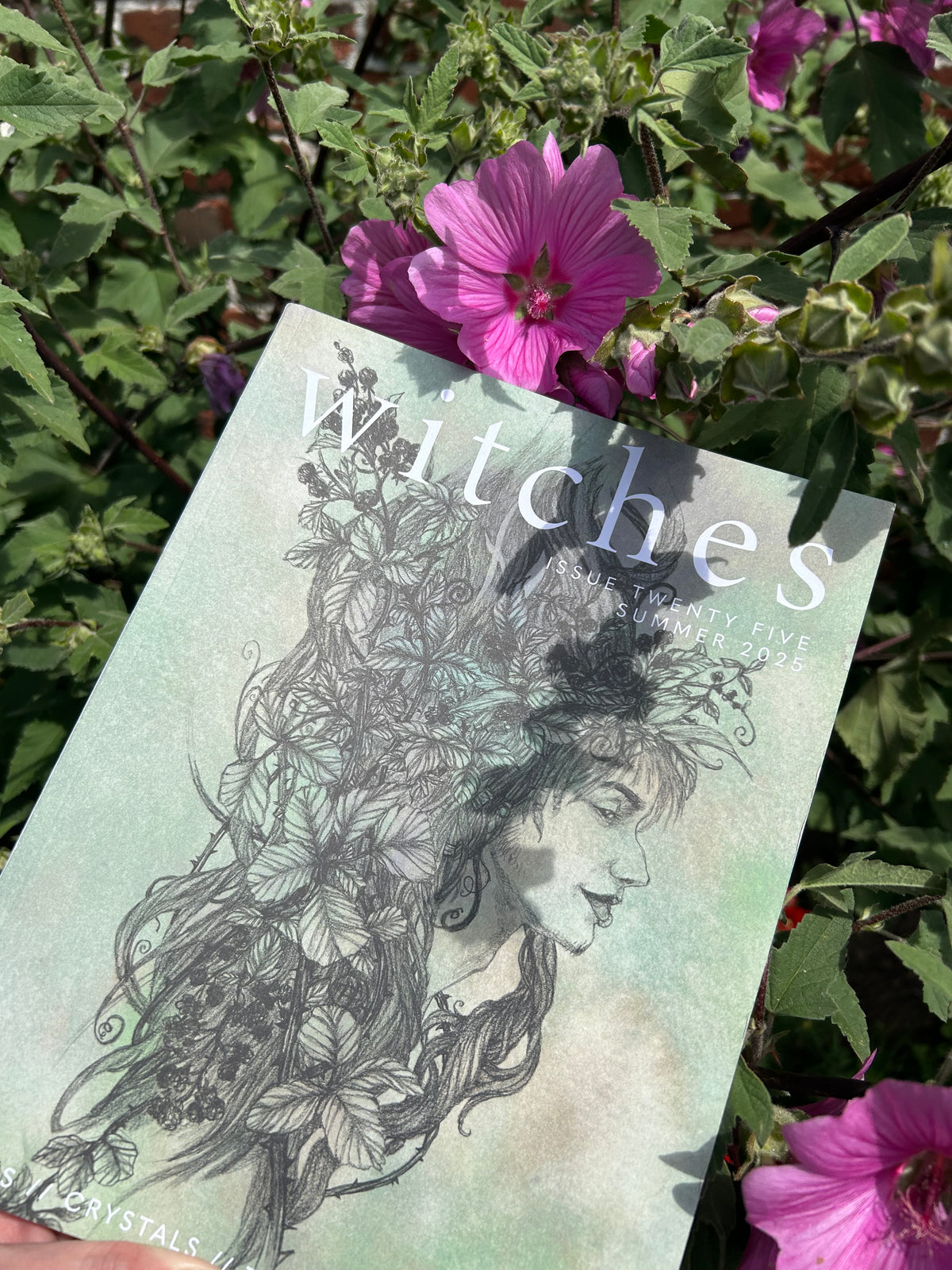 Witches Magazine Summer 2025 ๐บ๐โจ