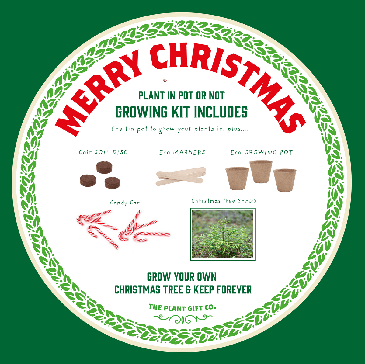 Merry Christmas, Grow Your Own Xmas Tree, plus Candy Canes - Sweet Pea & Little Wolf