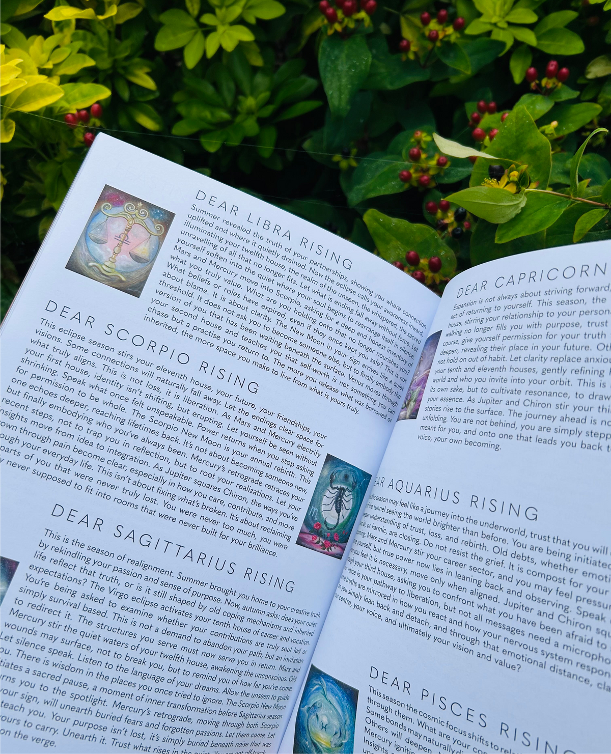 Witches Magazine Autumn 25 šš