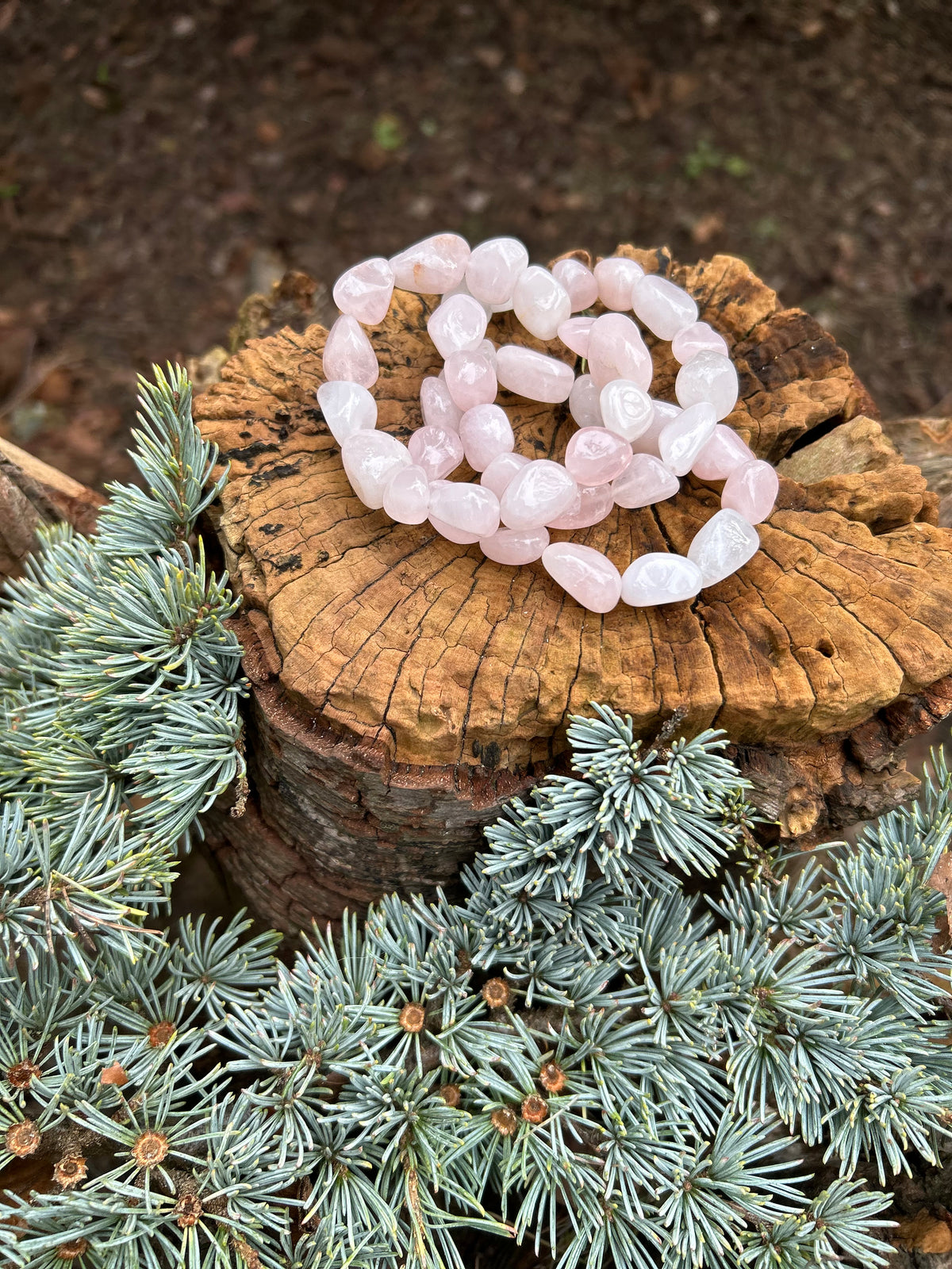 Rose Quartz Tumblestone Bracelet