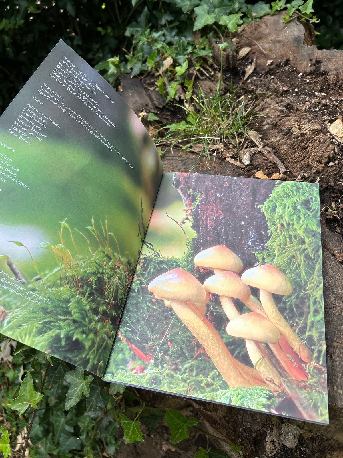 Witches Magazine Autumn 24