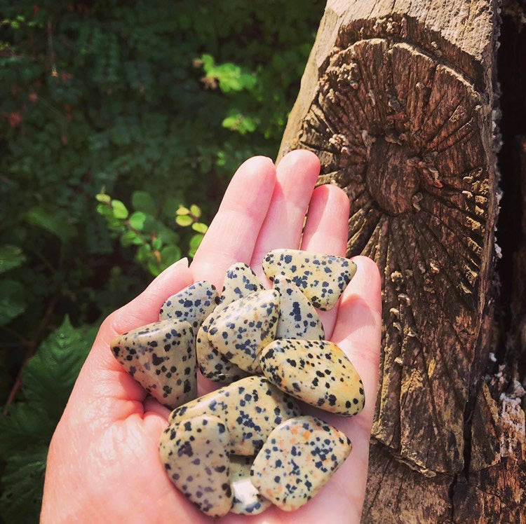 Dalmation Jasper Tumblestone