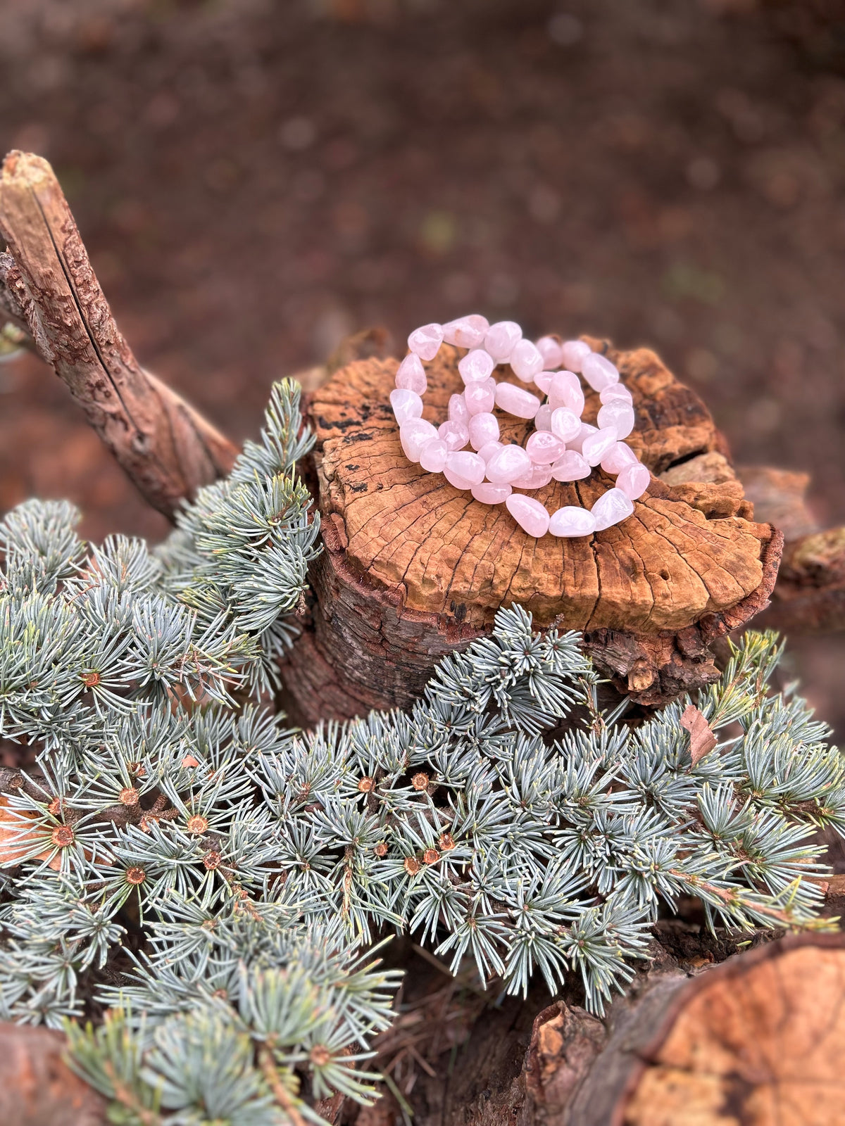 Rose Quartz Tumblestone Bracelet