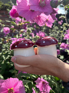 MUSHROOM SALT AND PEPPER SHAKERS 🍄