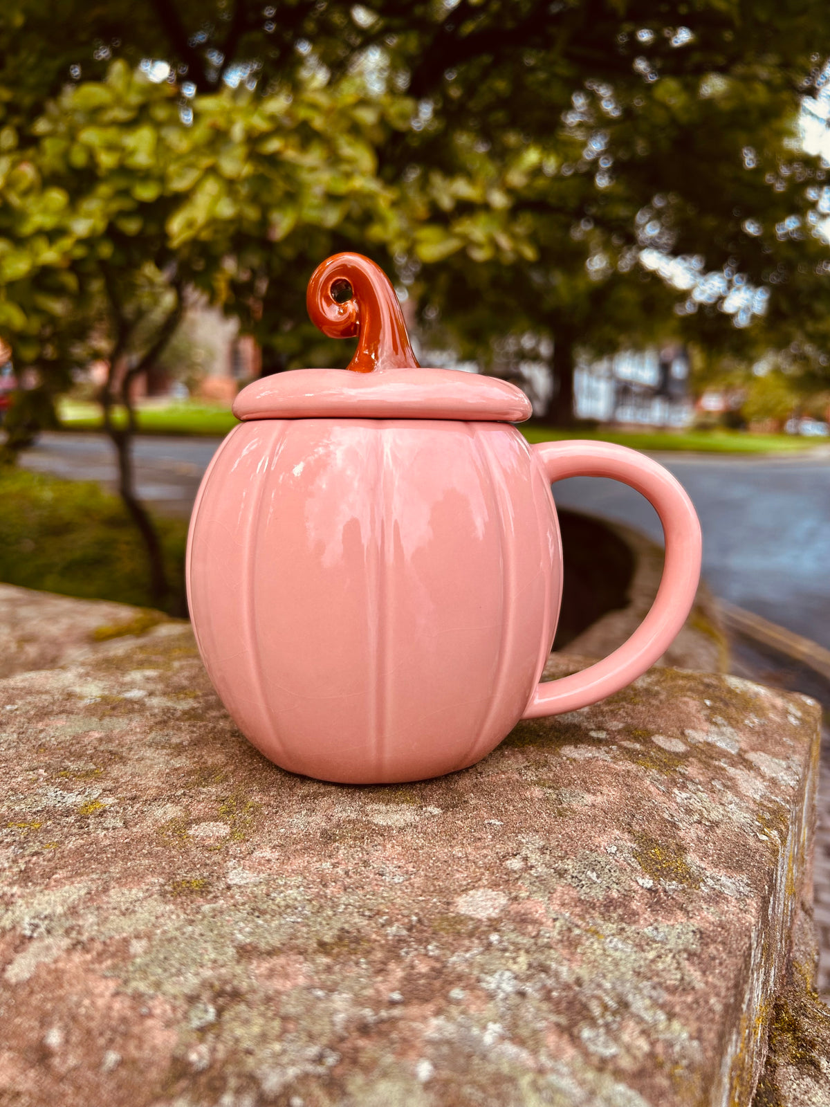PINK CURLY PUMPKIN LIDDED MUG