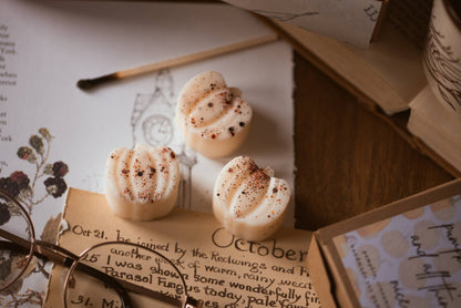 Caramel Apple Pumpkin Patch / Autumn Fall Soy Wax Melts