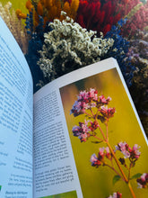 Witches Magazine Summer 2026, issue 29