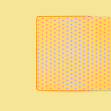 Gratitude A5 Journal by Eleanor Bowmer 🌞