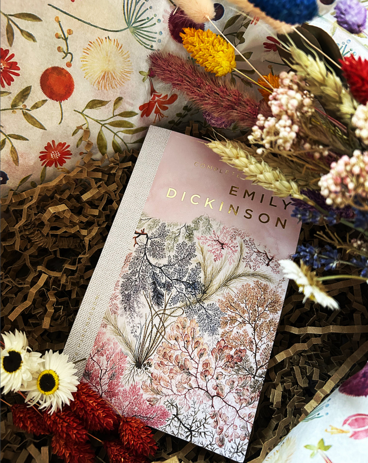 The Selected Poems of Emily Dickinson (Poetry Paperback Book)