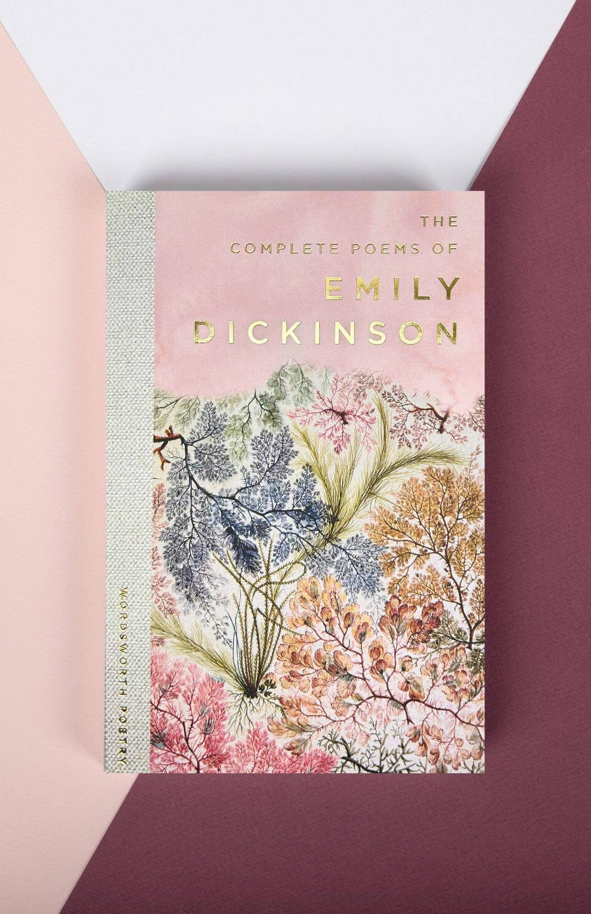 The Selected Poems of Emily Dickinson (Poetry Paperback Book)