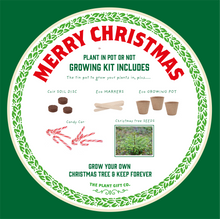 Merry Christmas, Grow Your Own Xmas Tree, plus Candy Canes