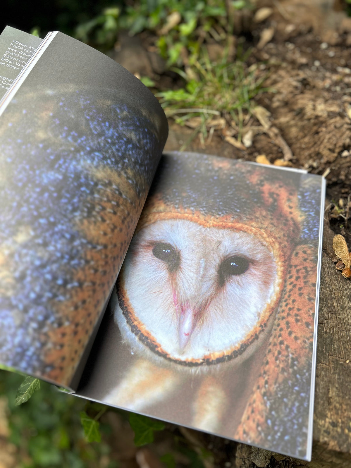Witches Magazine Autumn 24