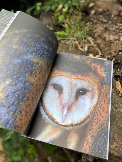 Witches Magazine Autumn 24