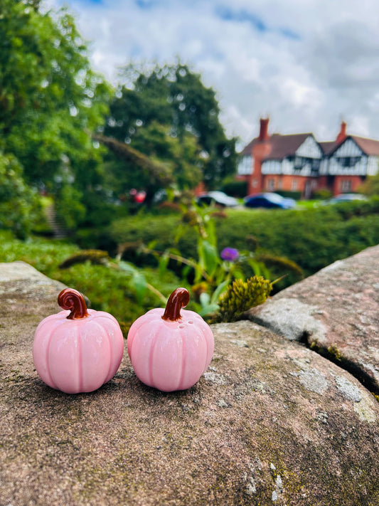 PINK CURLY PUMPKIN SALT AND PEPPER SHAKERS