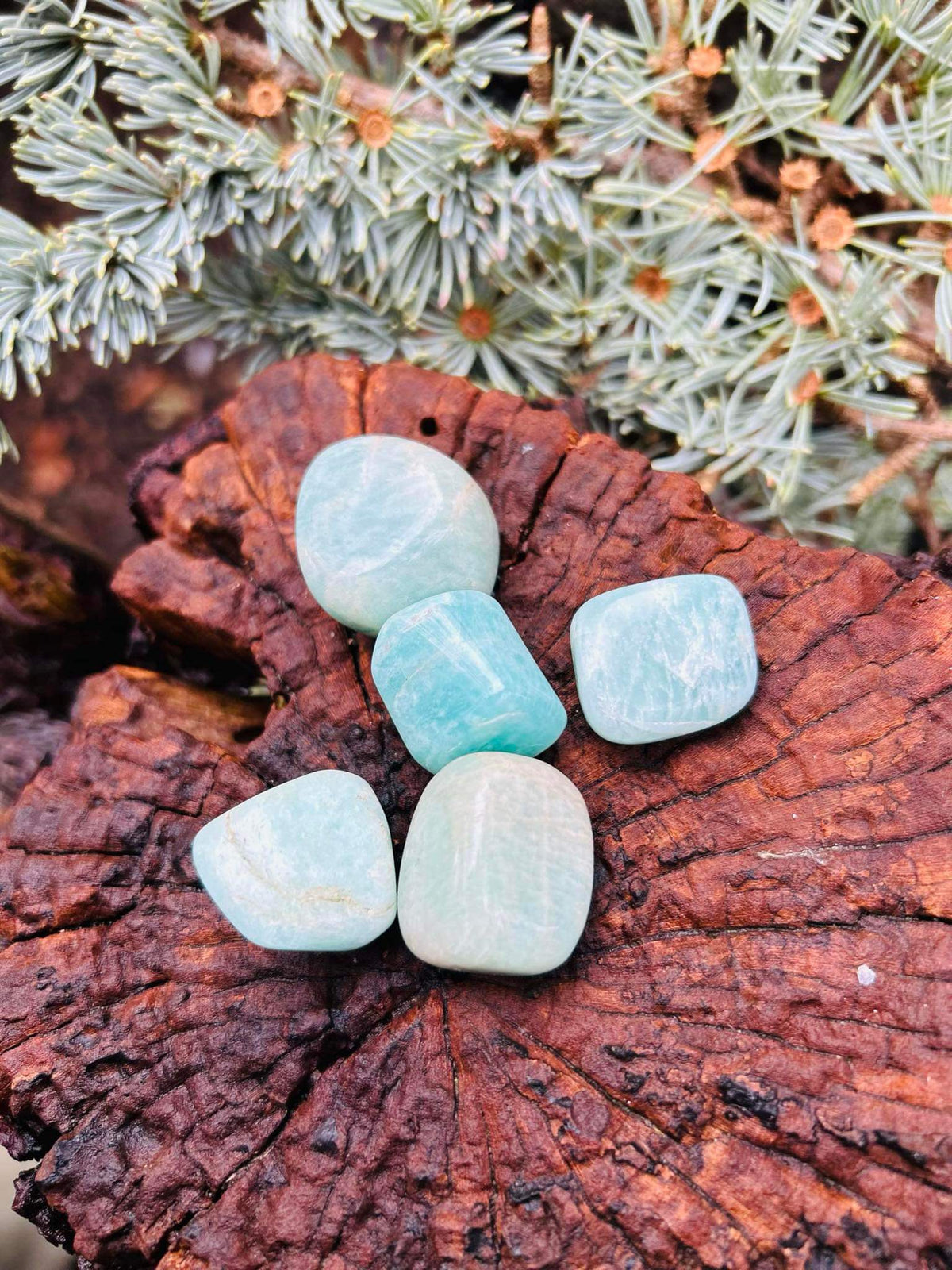 Amazonite Tumblestone