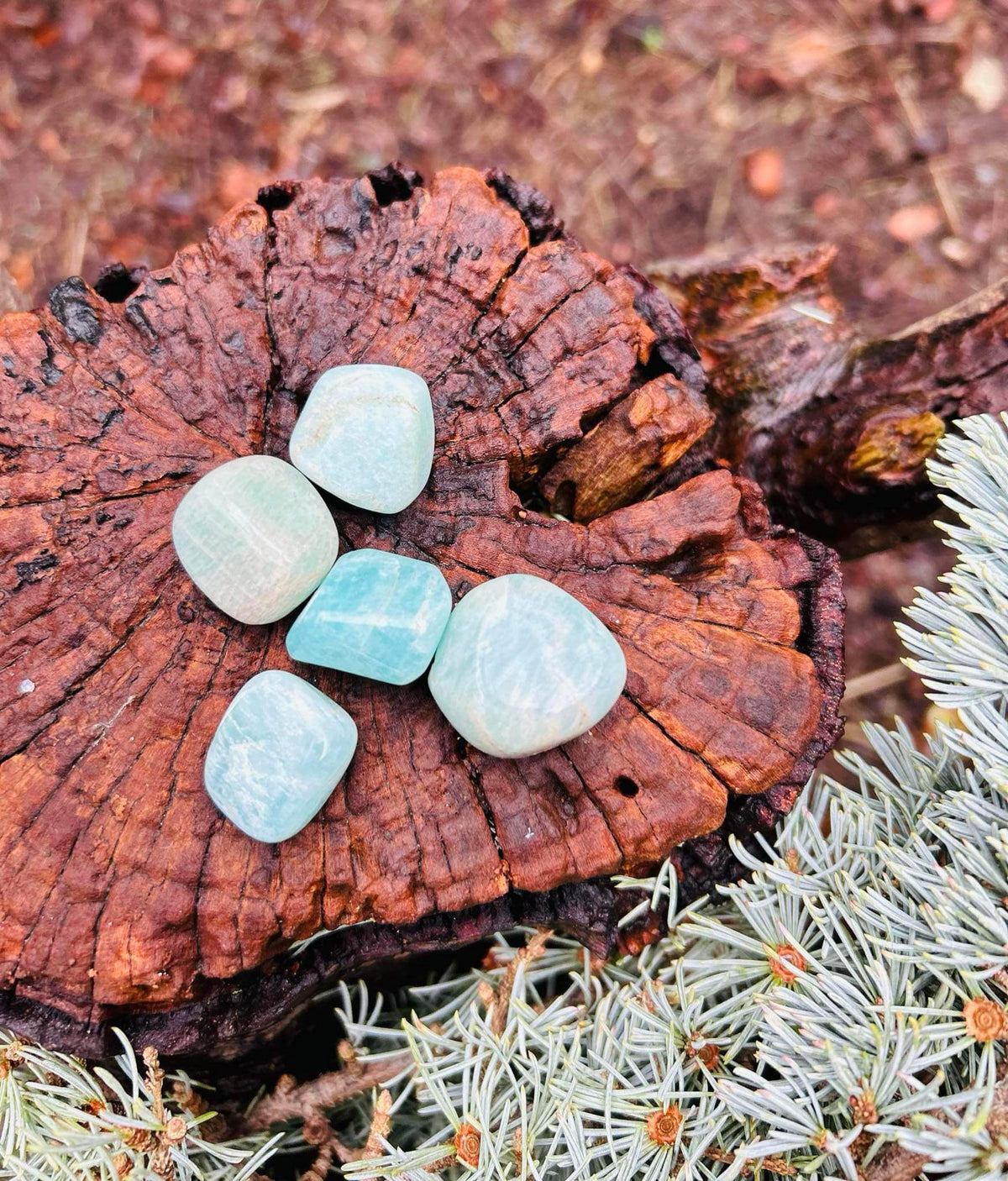 Amazonite Tumblestone
