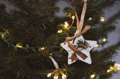 Christmas Scented Tree Decorations: Cranberry Orange and Cinnamon / Star Shaped