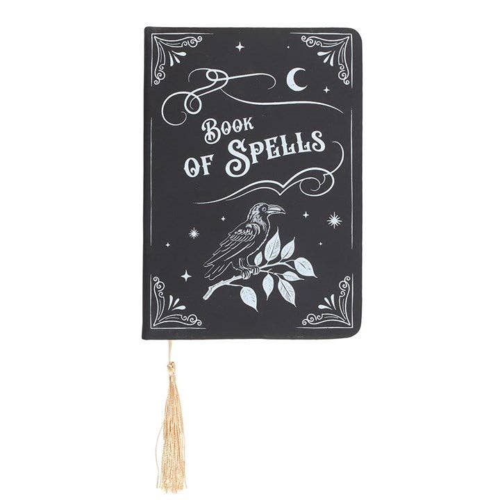 Mystic Raven Book of Spells Gothic A5 Notebook