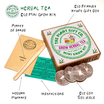 Herbal Tea. Eco Mini Grow-Kit Peppermint