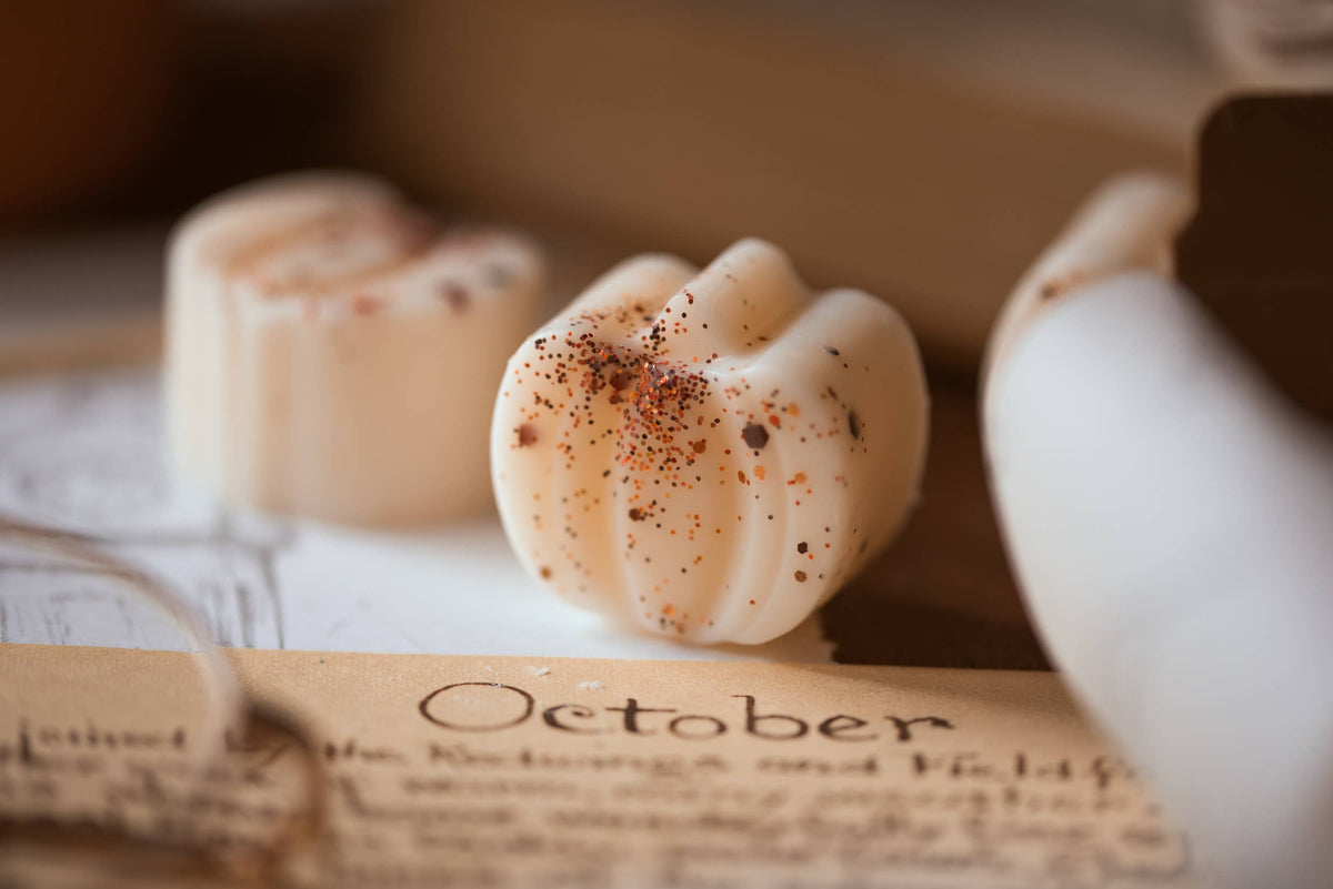 Caramel Apple Pumpkin Patch / Autumn Fall Soy Wax Melts