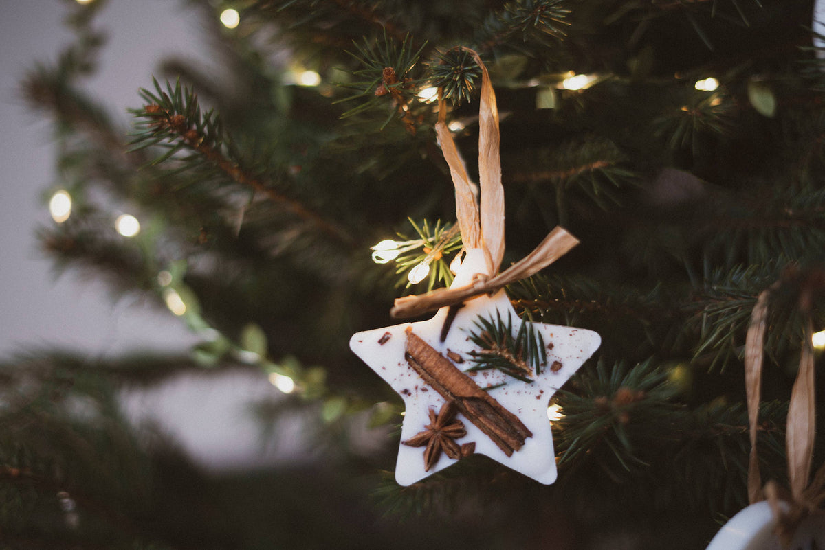 Christmas Scented Tree Decorations: Cranberry Orange and Cinnamon / Star Shaped