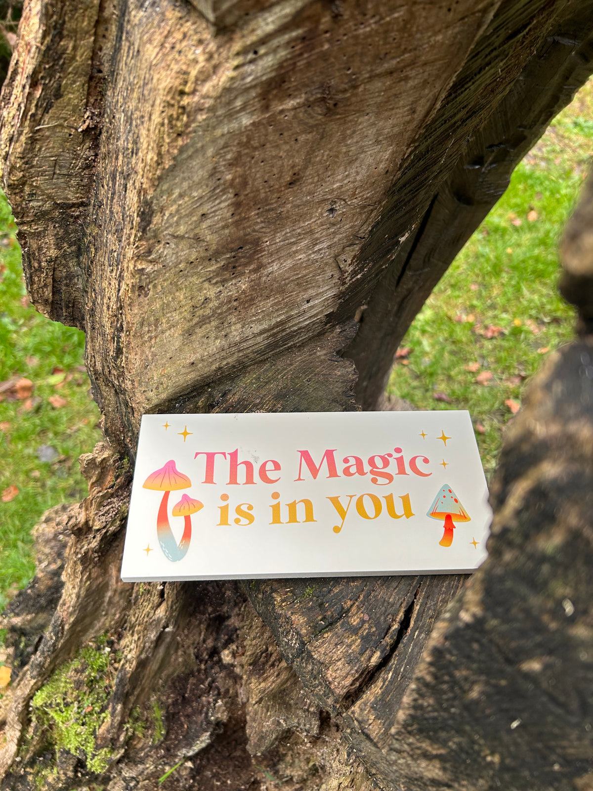 THE MAGIC IS IN YOU HANGING SIGN 🍄