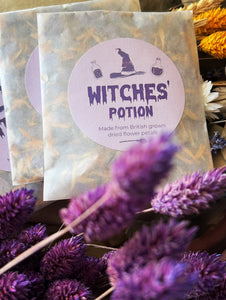 Halloween Potion Sachet 🥀✨