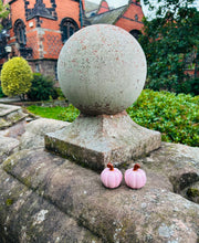 PINK CURLY PUMPKIN SALT AND PEPPER SHAKERS