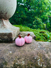 PINK CURLY PUMPKIN SALT AND PEPPER SHAKERS