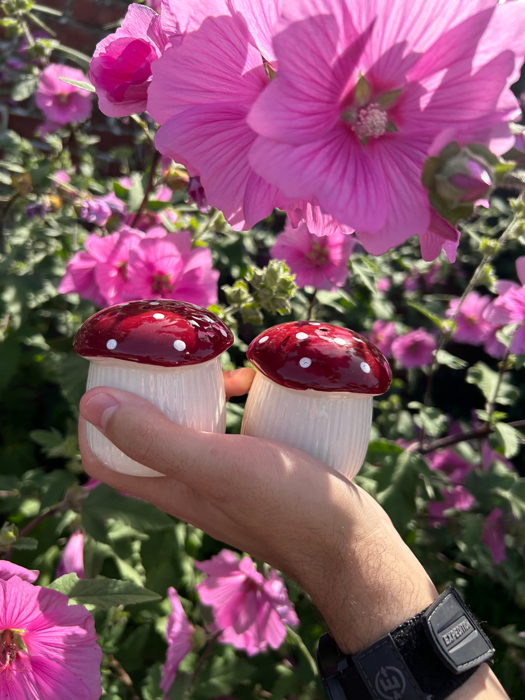 MUSHROOM SALT AND PEPPER SHAKERS 🍄