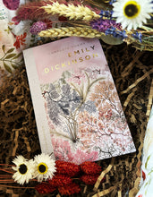 The Selected Poems of Emily Dickinson (Poetry Paperback Book)