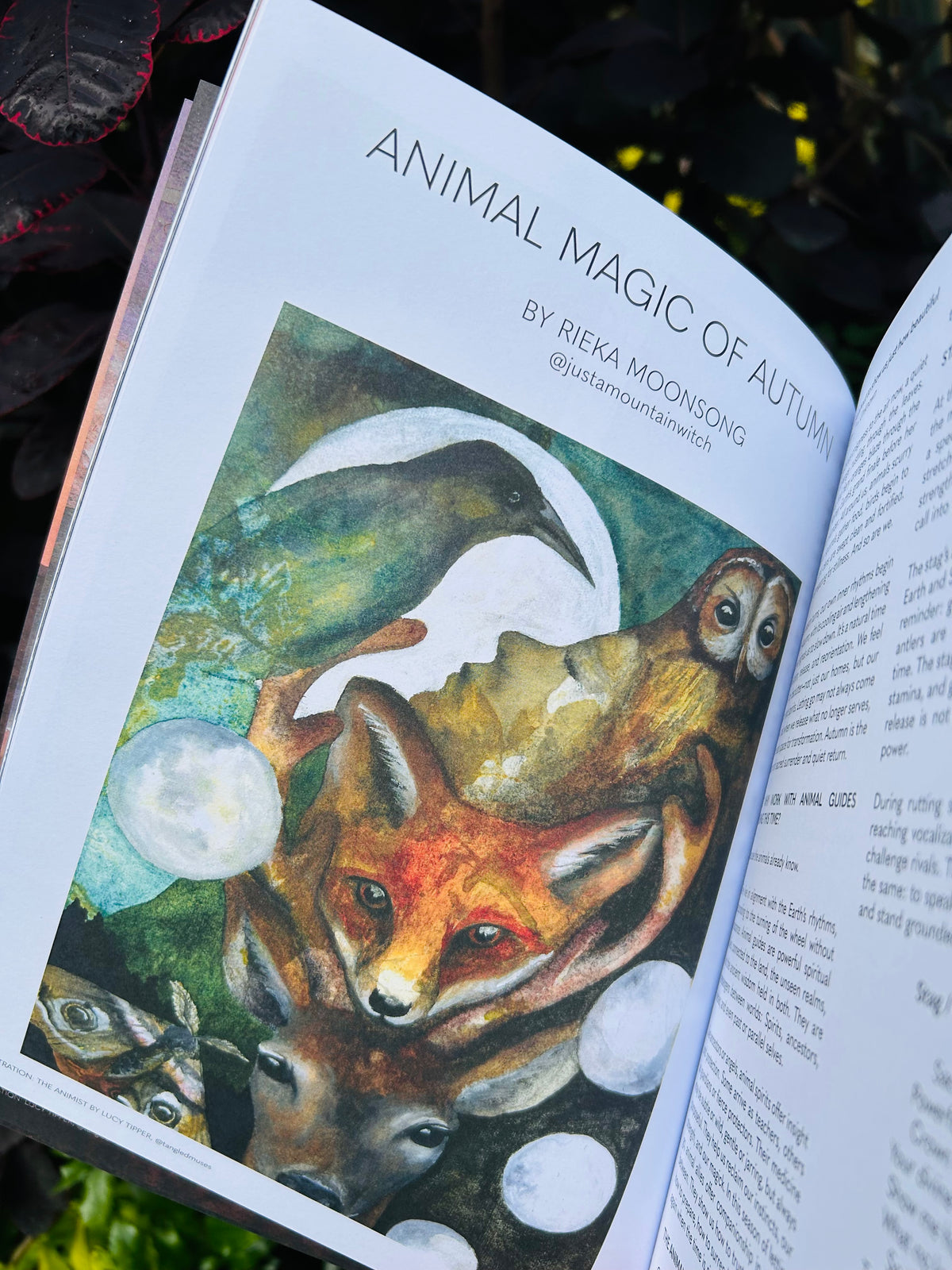 Witches Magazine Autumn 25 🍁🍂