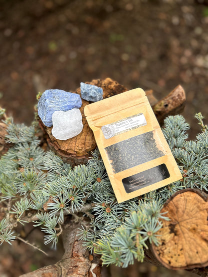 Explorer’s Tea 🍃🧭