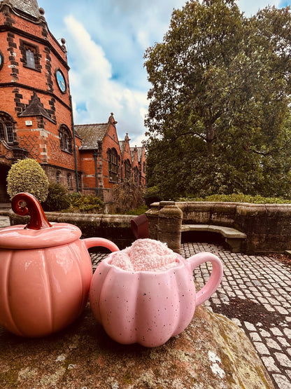 PINK PUMPKIN MUG AND SOCKS SET