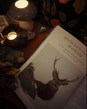 Witches Magazine Winter Issue 25/26 ❄️🌲