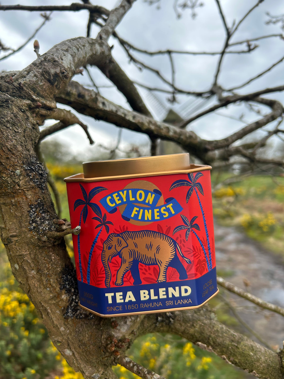 Metal Tea Caddy - Ceylon Finest