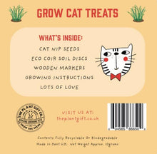 Grow Cat Treats. Cat Lovers Eco Mini-Grow-Kit