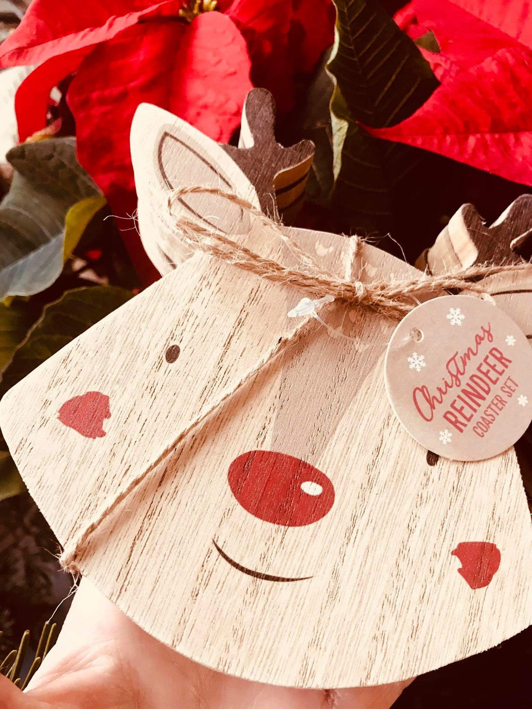 Reindeer Coaster Set