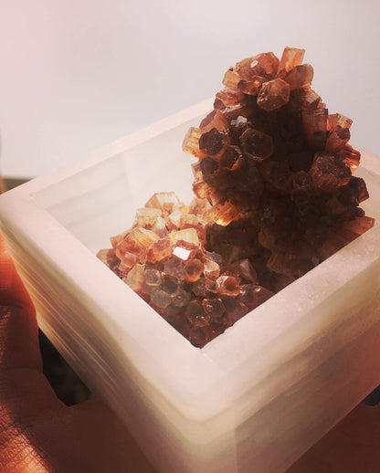 Star Aragonite 🌟