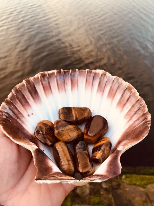 Tigers Eye Tumblestones