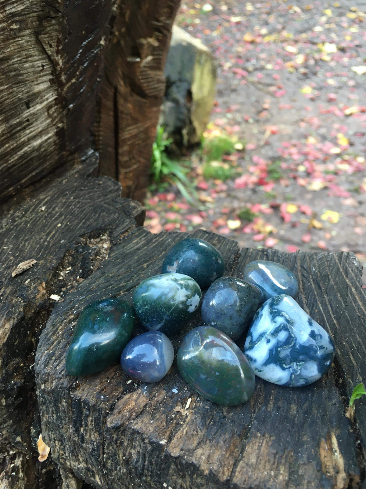 Moss Agate Tumblestone
