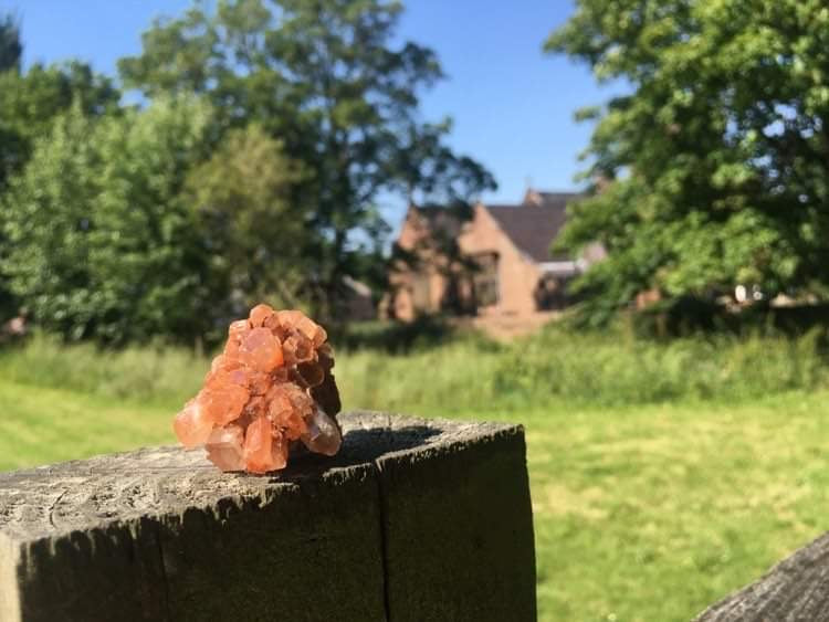 Star Aragonite 🌟