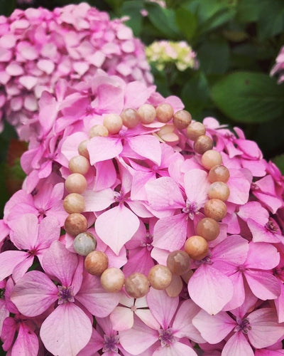 Moonstone Bead Bracelet