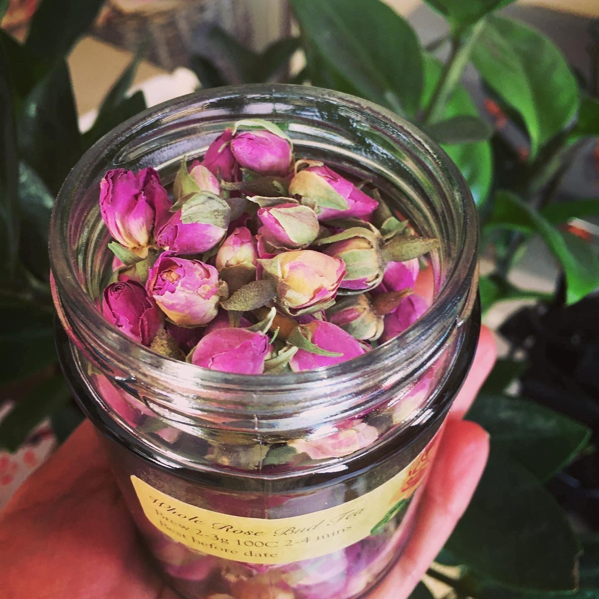 Whole Rose Bud Tea 🌹