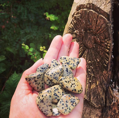Dalmation Jasper Tumblestone