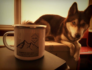 Little Wolf Enamel Mug ⛺️
