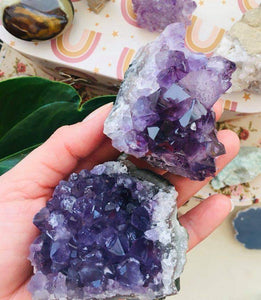 Amethyst Clusters