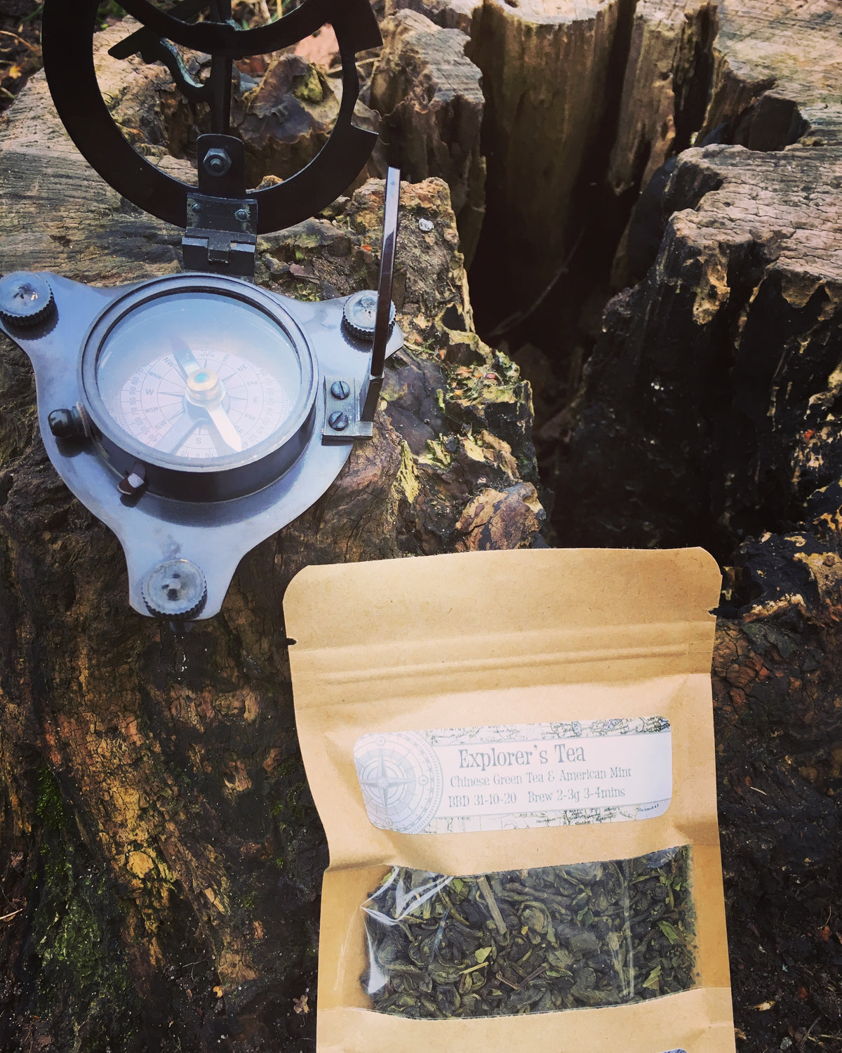 Explorer’s Tea 🍃🧭
