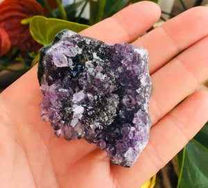 Amethyst Clusters