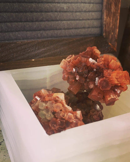 Star Aragonite 🌟